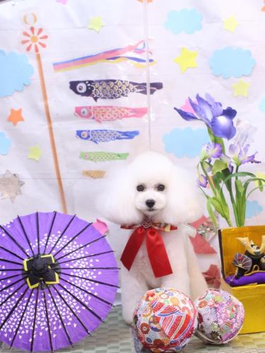 20240516ゆわちゃん